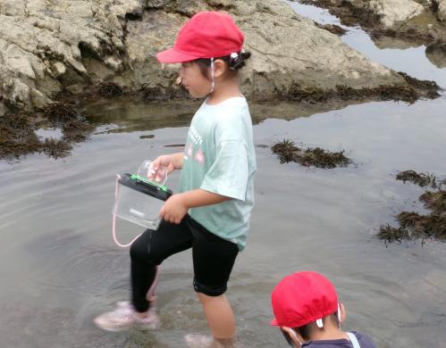 一生懸命生き物を探す