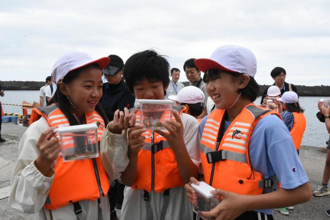 透明なケースに移した稚魚を観察している写真