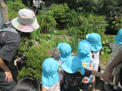園外保育で清澄寺へ「カエルさんいるかな？」