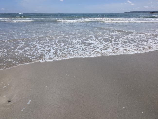 城崎海水浴場の砂浜の写真
