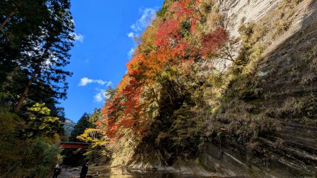 白岩の川から見た風景の写真