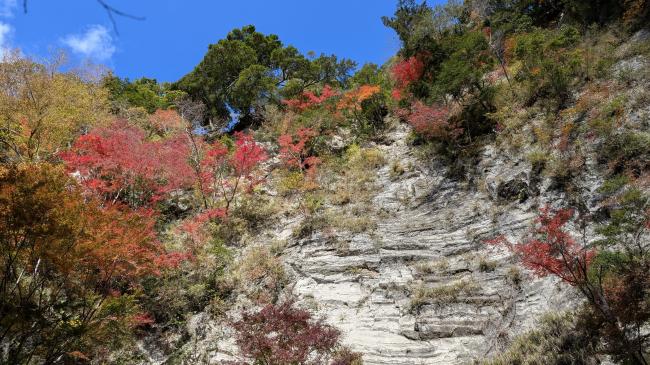 白岩の紅葉の写真