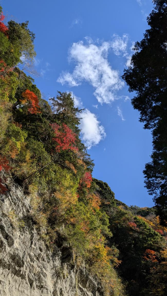 渓谷から右側を見た白岩の写真