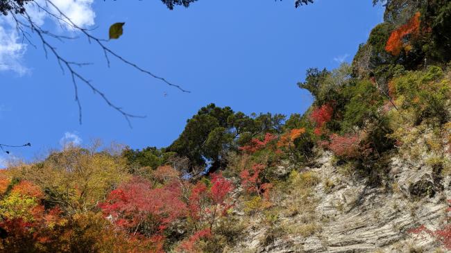 白岩の写真