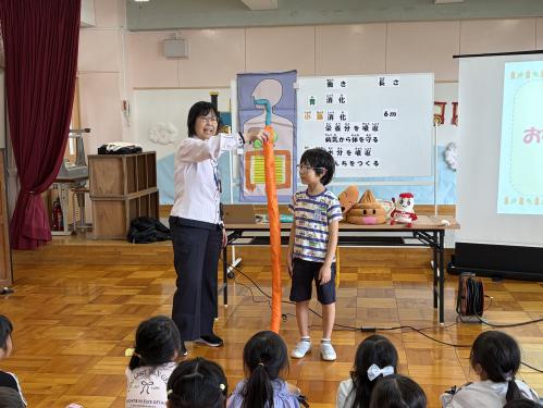 腸の縦の長さについて説明