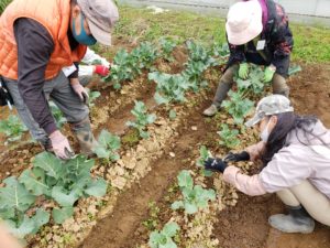 《ふるさと鴨川通信NO.175》の画像14