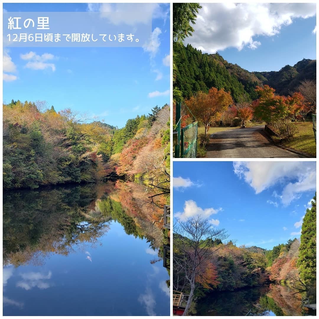 紅の里の画像