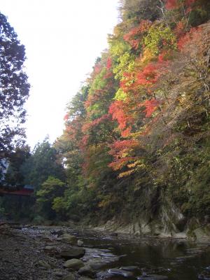 白岩橋下河川