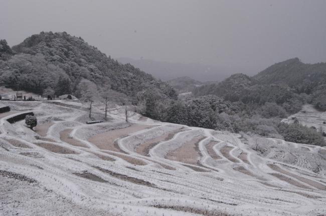 大山千枚田（冬）４