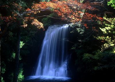 紅葉と雄滝