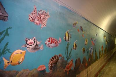 壁に描かれた魚たち