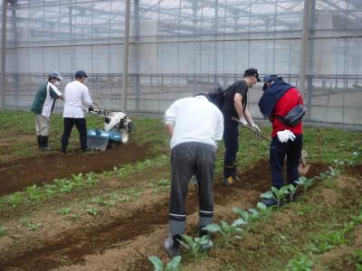 市民農園で耕運作業