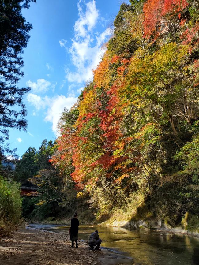 四方木・白岩2