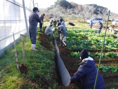 畦波シートの埋め込み