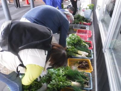 収穫した野菜をお土産に持ち帰る様子