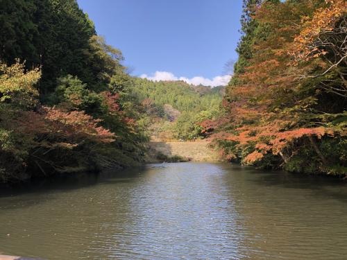 対岸に近づいたときの紅葉の景色