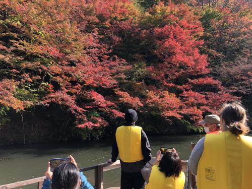 赤く色づいた鮮やかな紅葉の景色