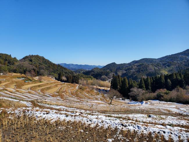 大山千枚田（2022・冬）3