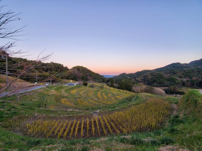 棚田の夕暮れ1