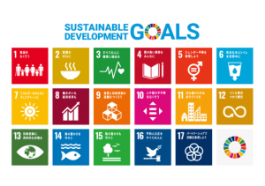 SDGｓの１７の目標