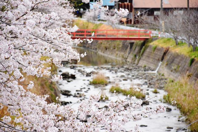 曽呂川　宮橋周辺