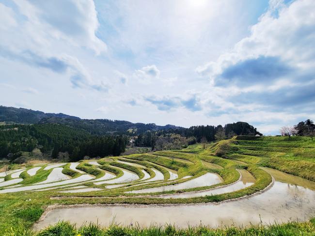 大山千枚田・田植え前1