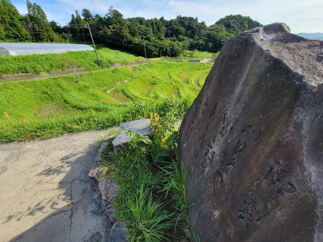 大山千枚田と石碑