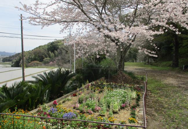 川代集会所花壇