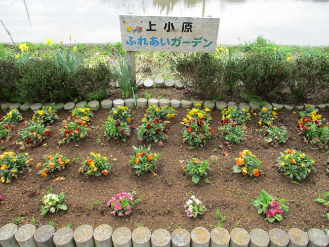 上小原青年館花壇