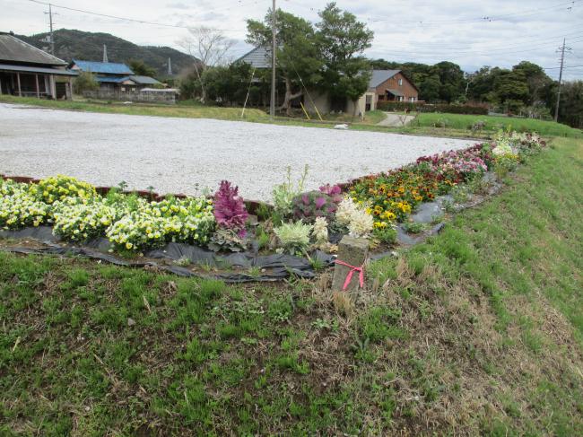 北小町青年館花壇