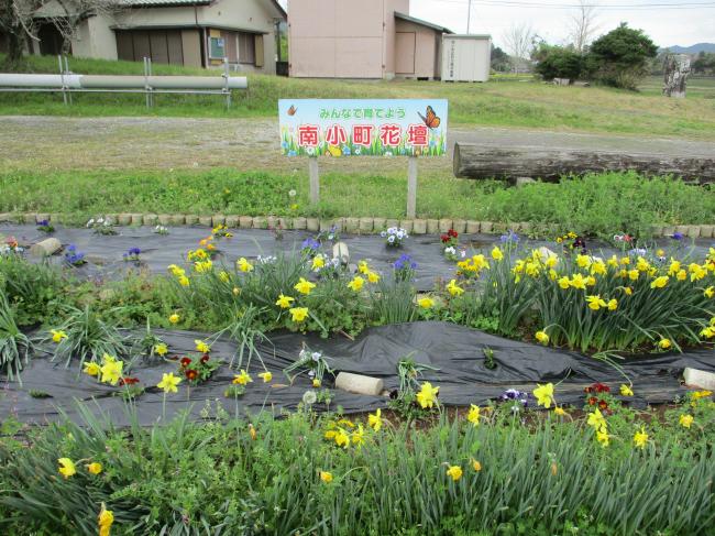 南小町区民センター花壇