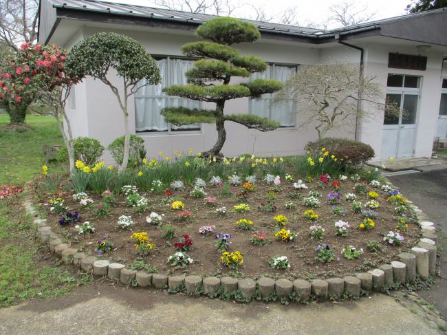 松尾寺青年館花壇