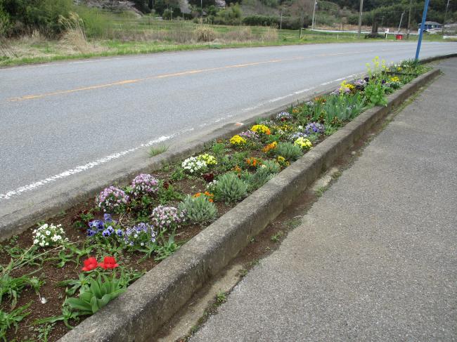 佐野花壇