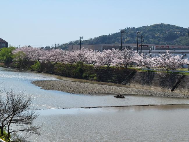 加茂川の写真