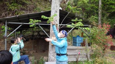 周辺植物の説明