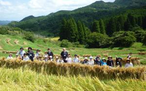 自分たちが刈って、干した稲の近くで撮った集合写真