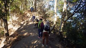 鴨川富士写真１