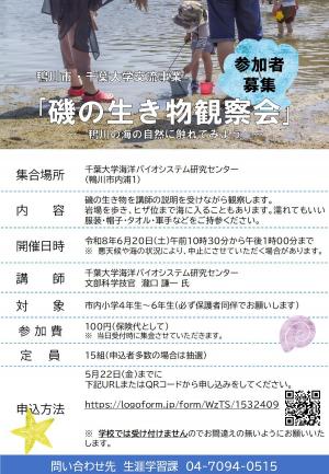 磯の生き物観察会