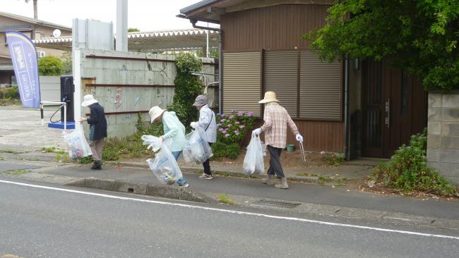ごみゼロ運動でごみを拾っている画像3