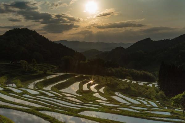 鴨川の棚田