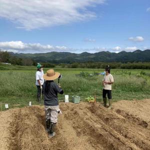 市民農園での中継様子